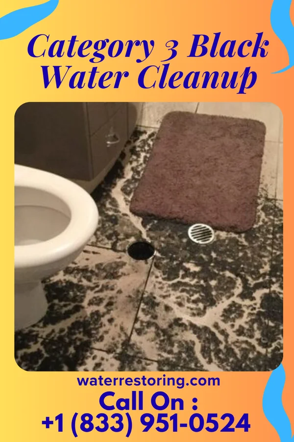 Category 3 Black Water Cleanup in Crescent, LA