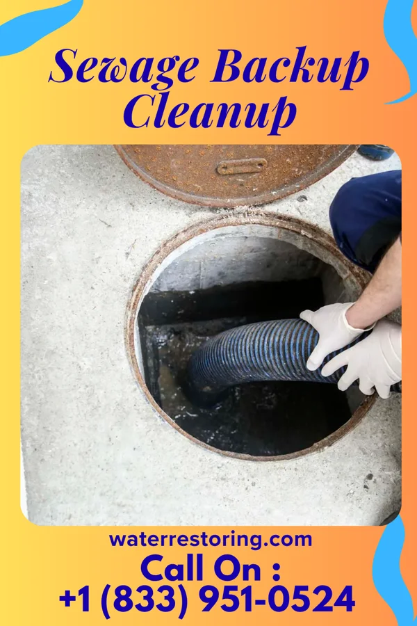 Sewage Backup Cleanup in Crescent, LA