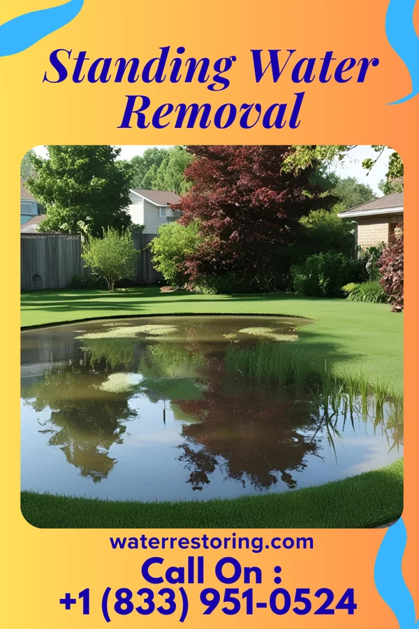 Standing Water Removal in Crescent, LA